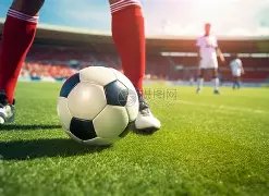 人伤病阵容,再增,雷霆内线危,C7,YULE,C7,YULE官网,C7,YULE平台,C7娱乐集团,C7,YULE集团