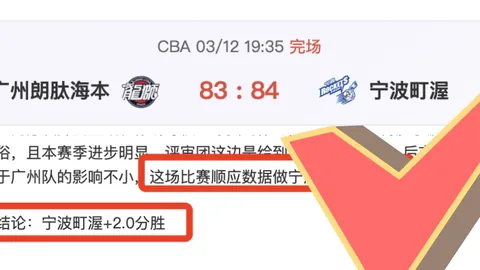 18次精准投射，12颗心系粉丝的爱：特献回馈盛宴，等你来见证！
